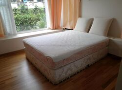 Parc Emily (D9), Condominium #521127801
